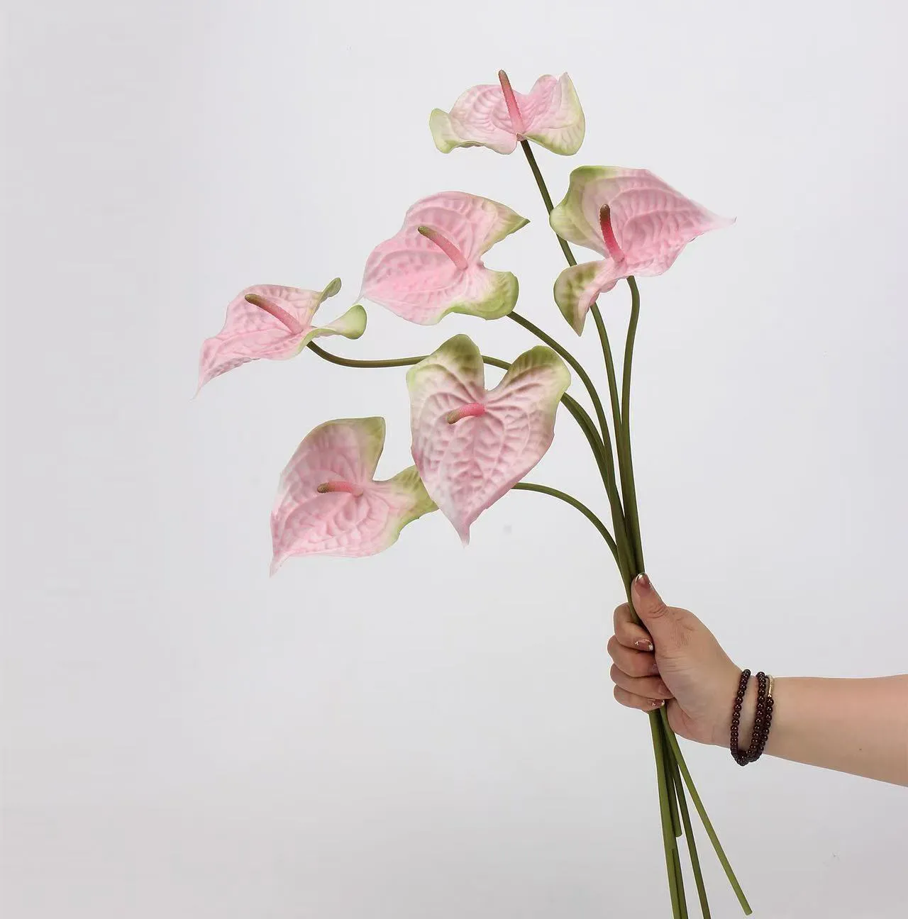 lòng cọ anthurium