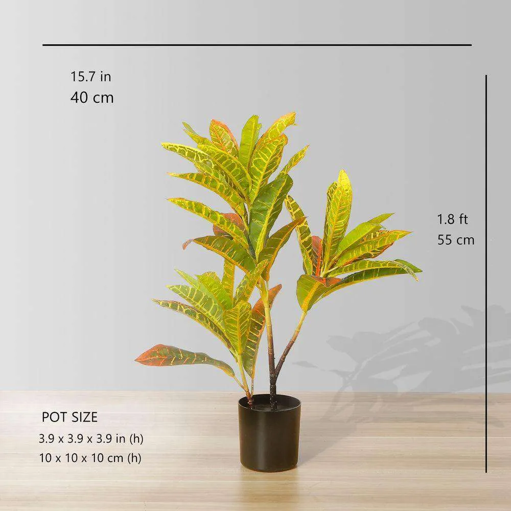 Cây croton nhân tạo trong chậu cây