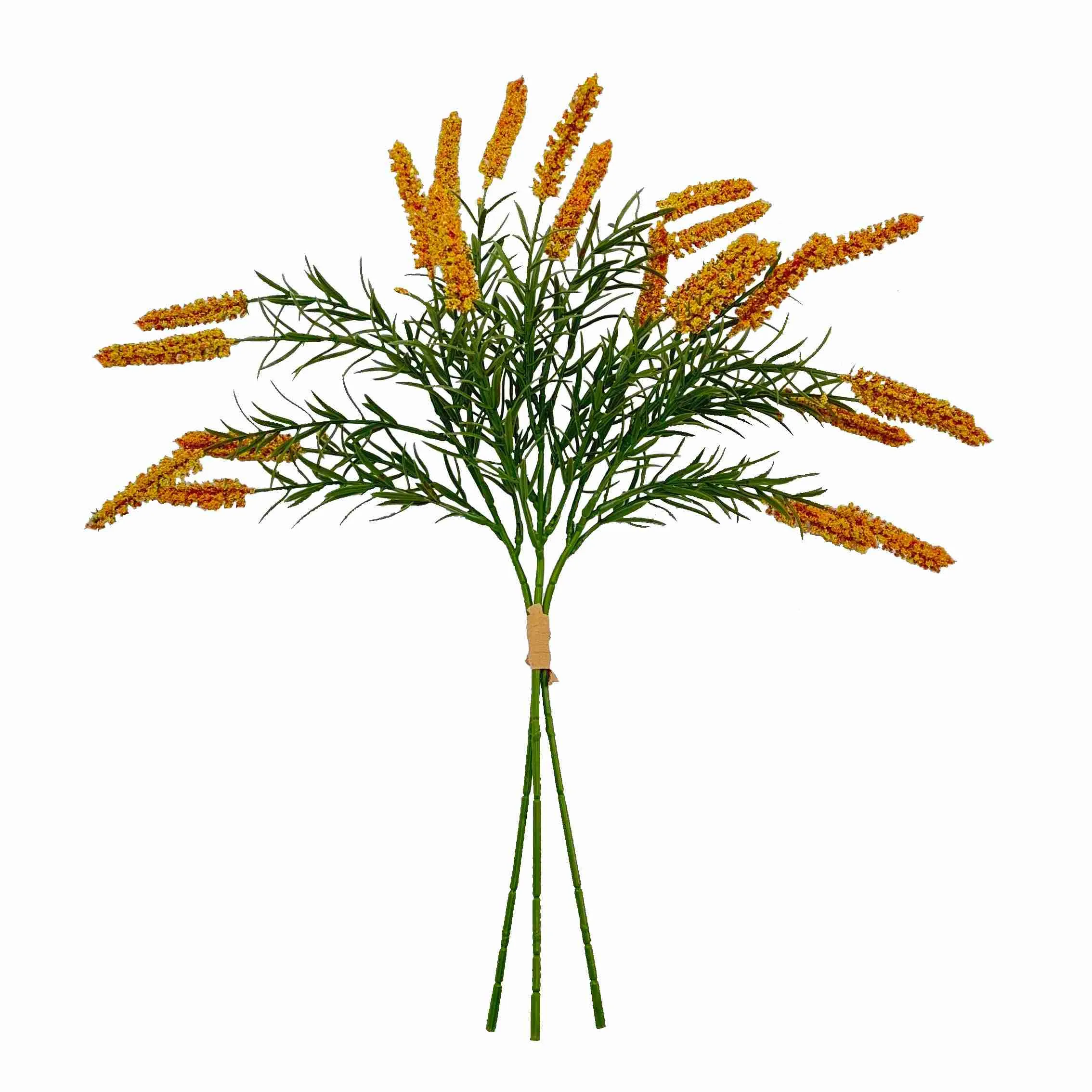 Bó hoa sậy
