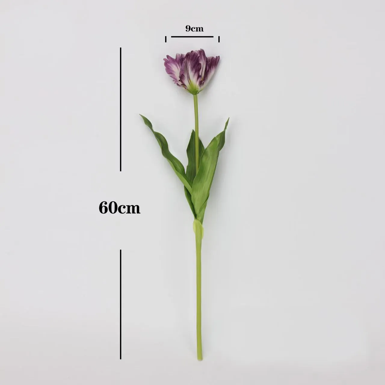 TULIP MONET