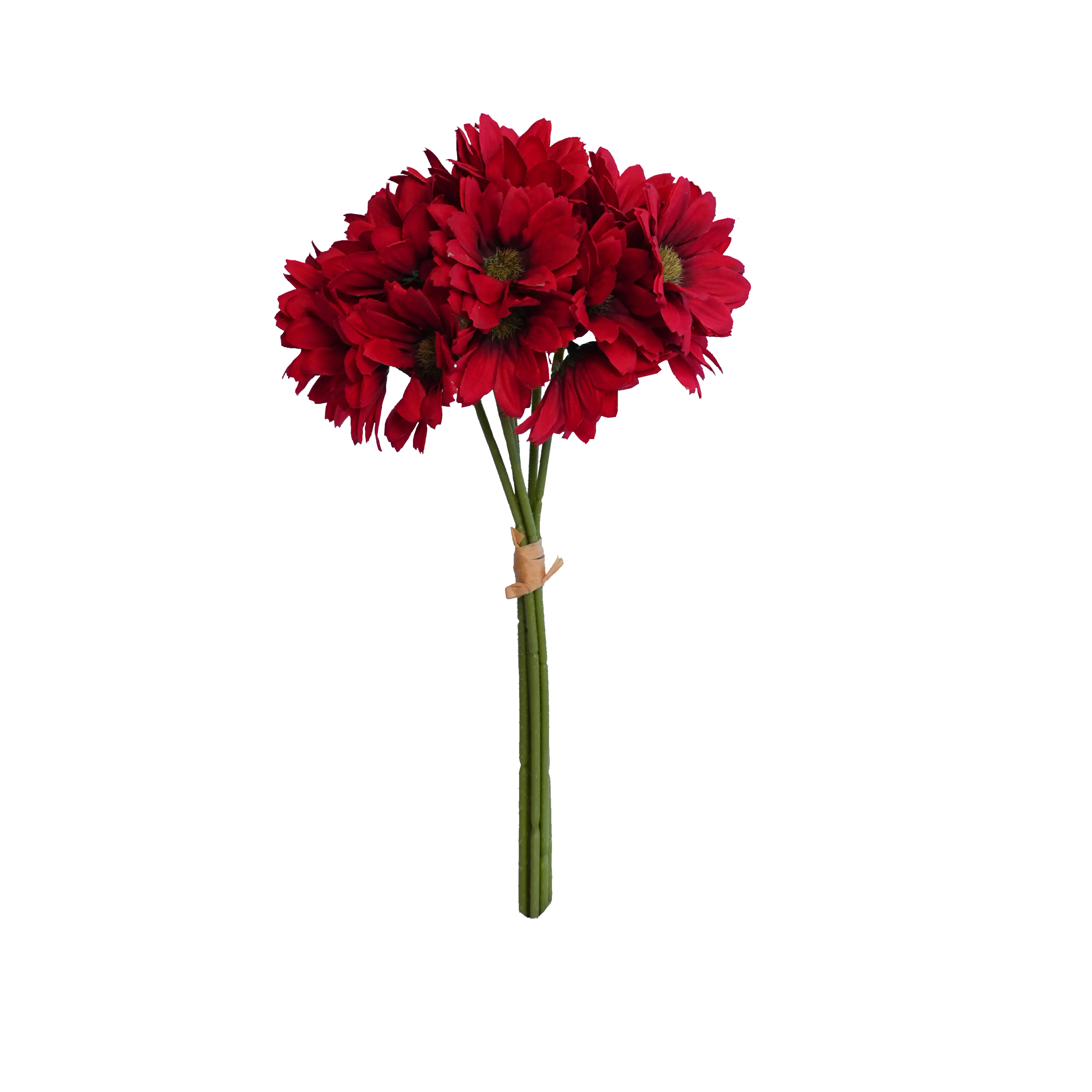 Lấy một loạt hoa hướng dương