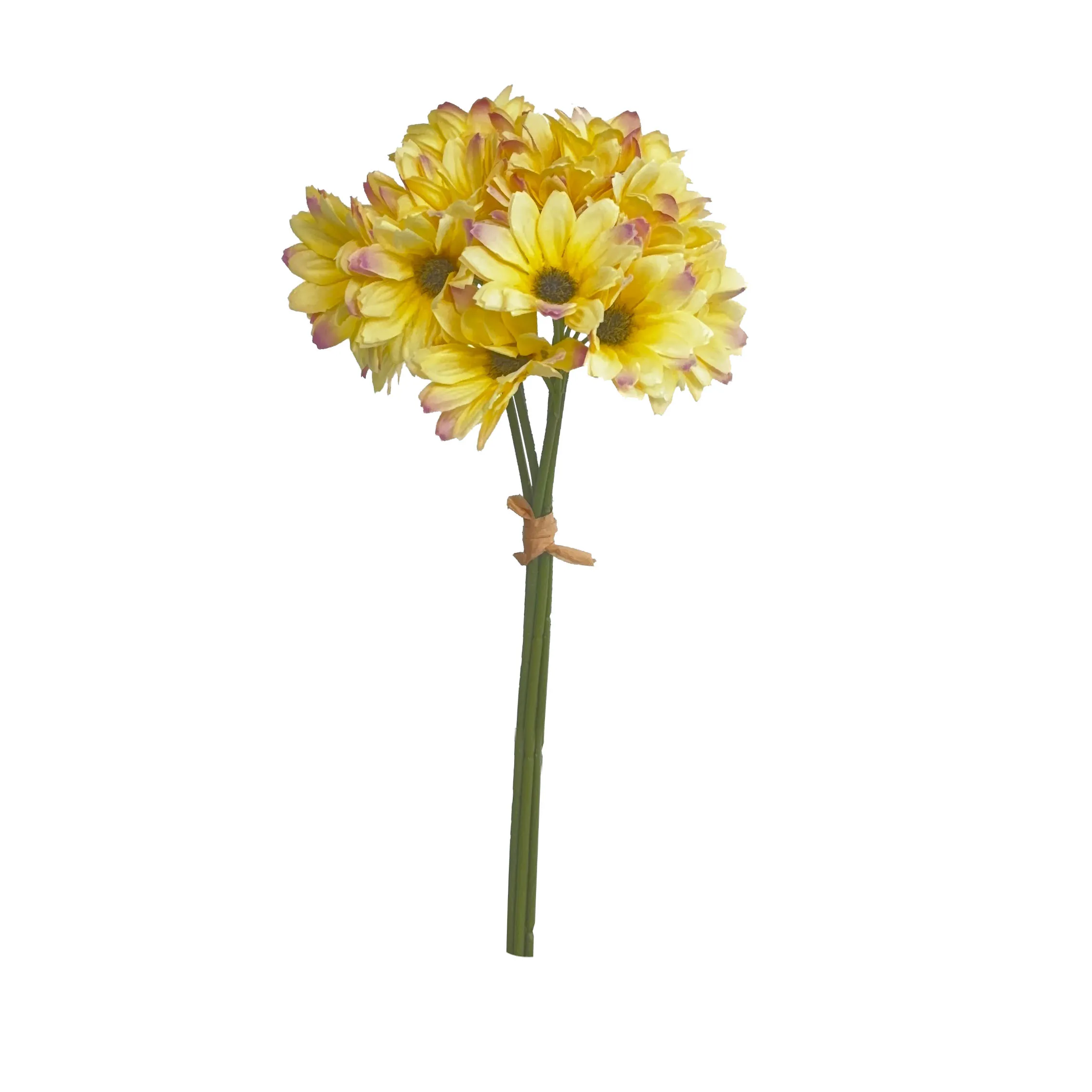 Lấy một loạt hoa hướng dương