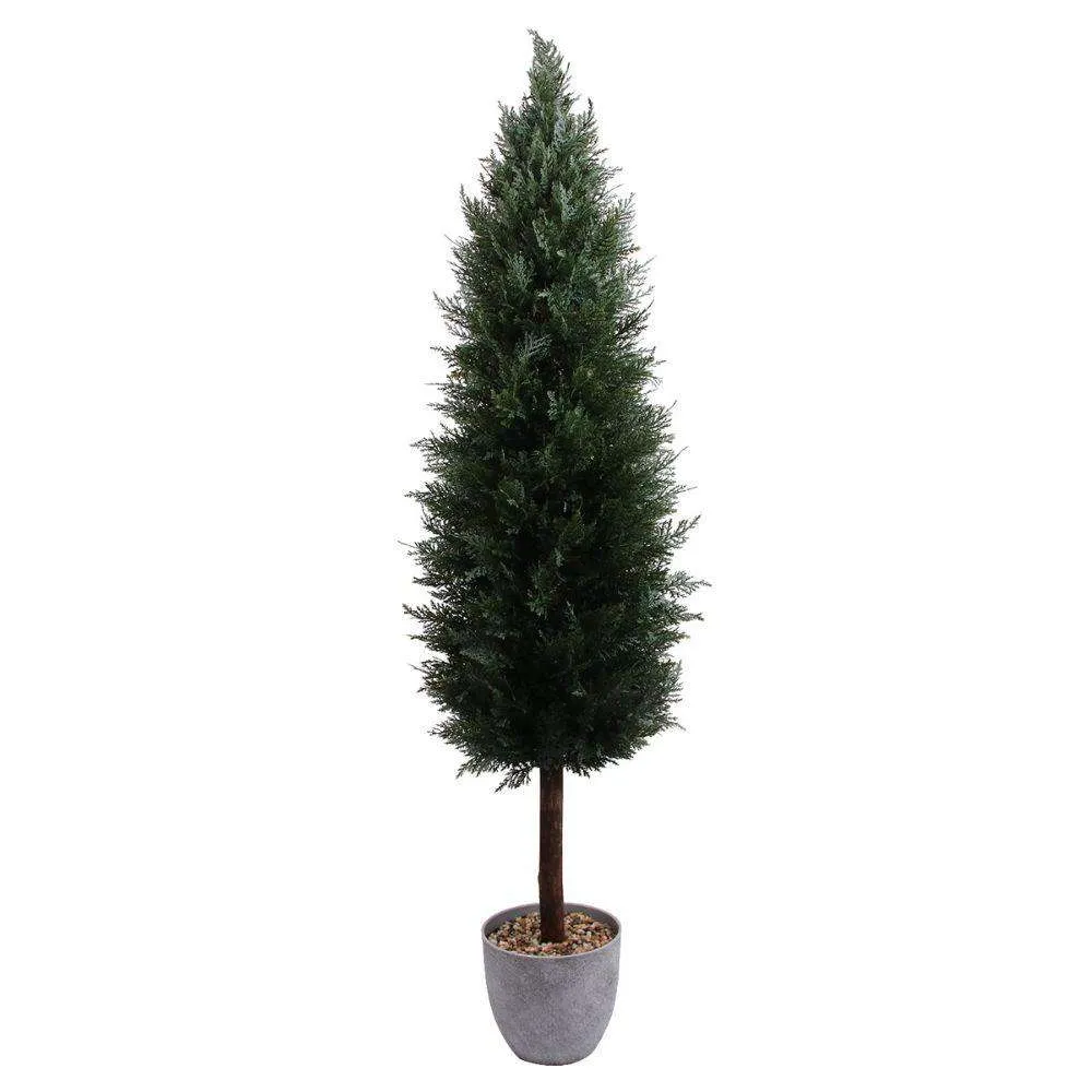Nhà máy tựa Cedar Pomen (nhiều kích thước) (nhiều kích thước)