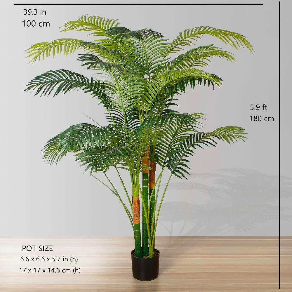 Cây cây cọ nhân tạo Hawaii