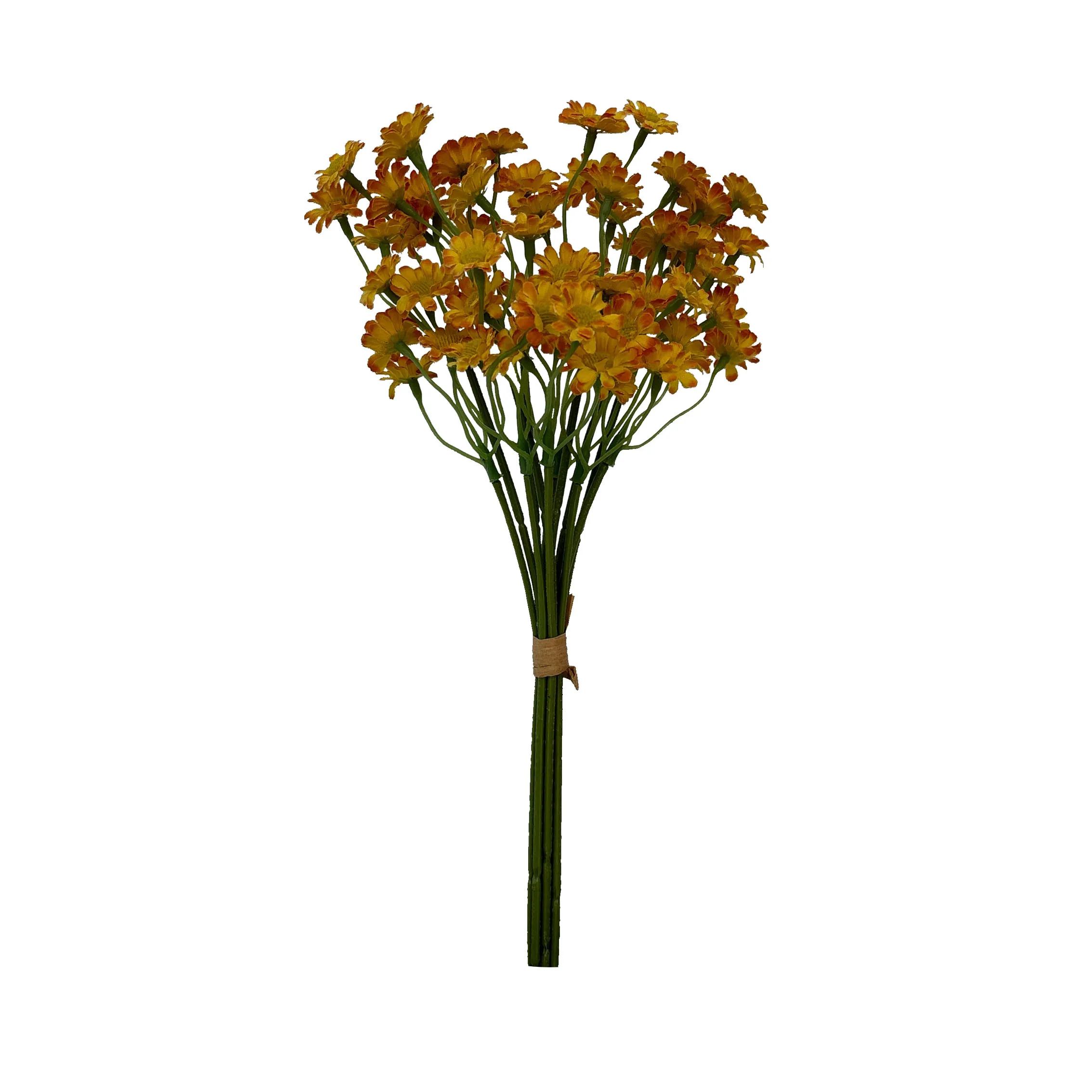 Lấy một loạt hoa cúc
