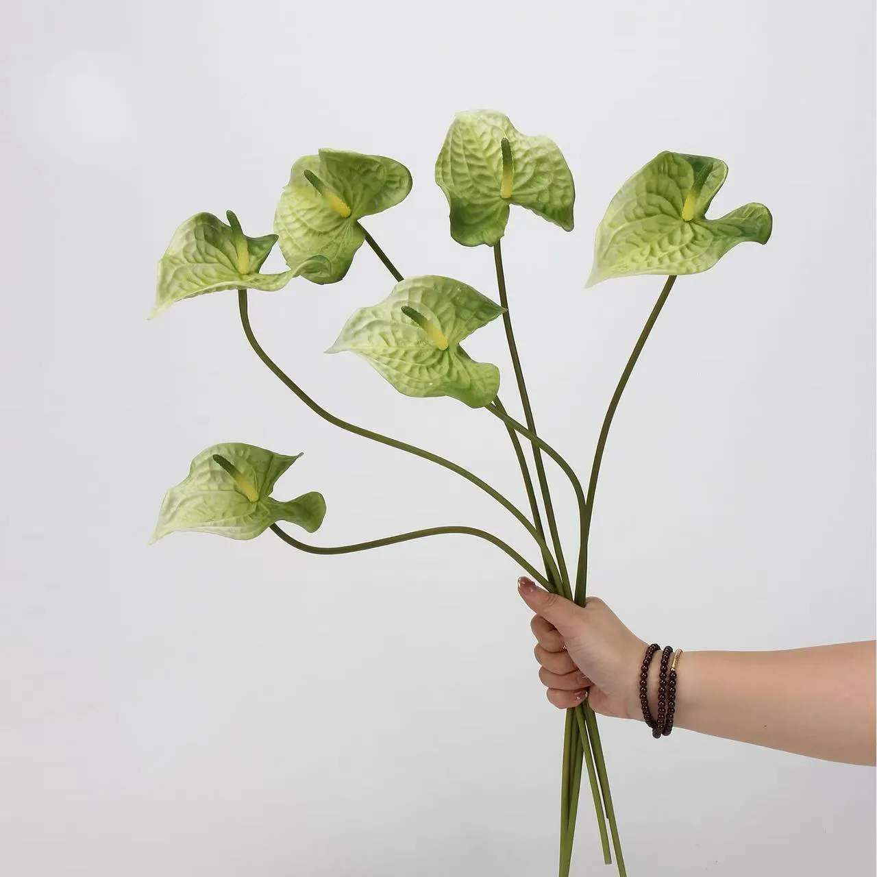 lòng cọ anthurium