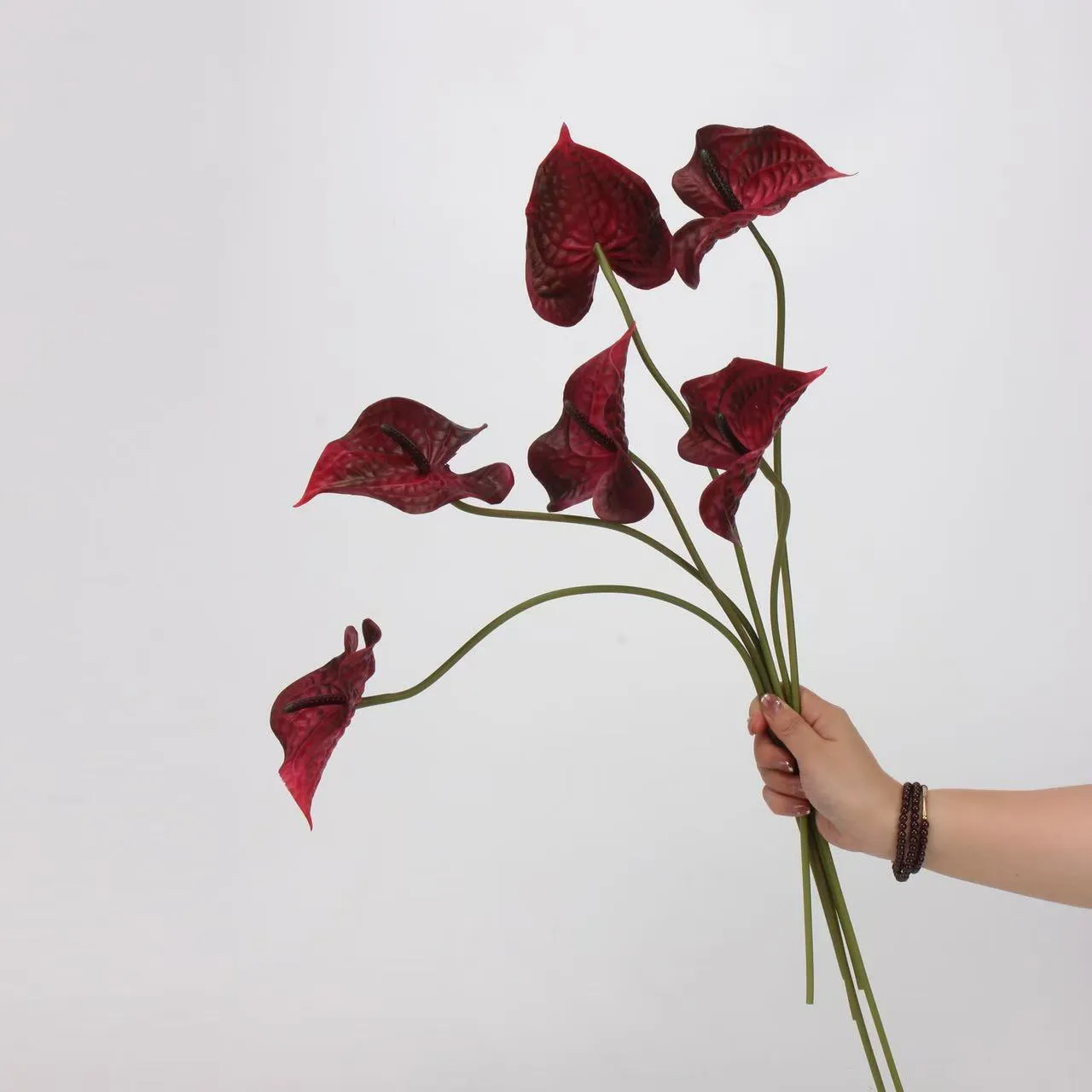 lòng cọ anthurium