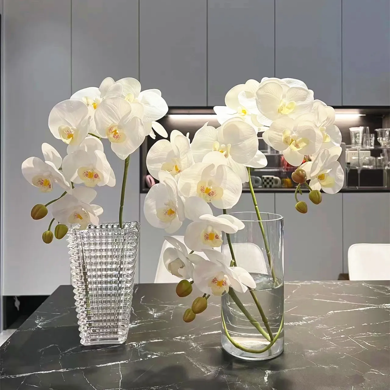 Phalaenopsis lan