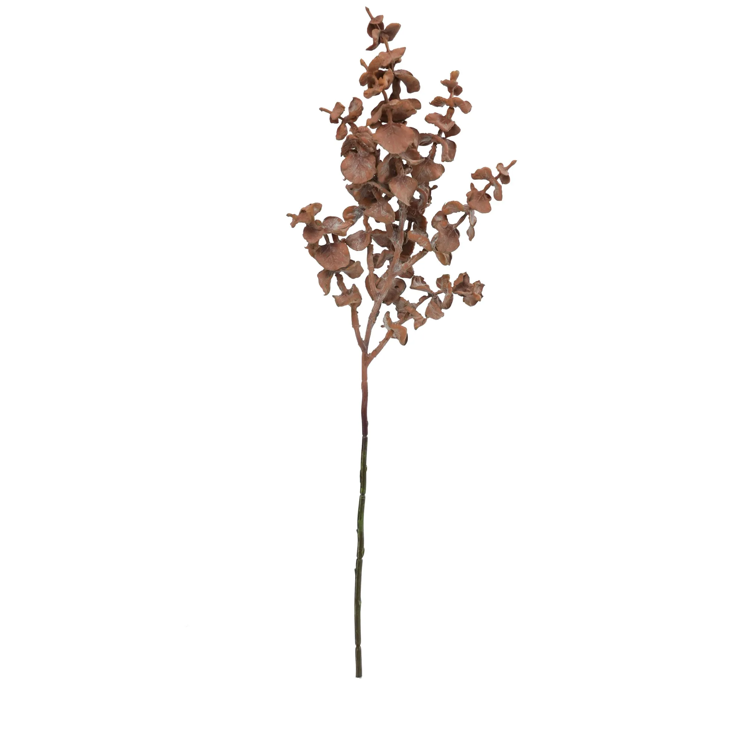 Một lá đồng đồng duy nhất