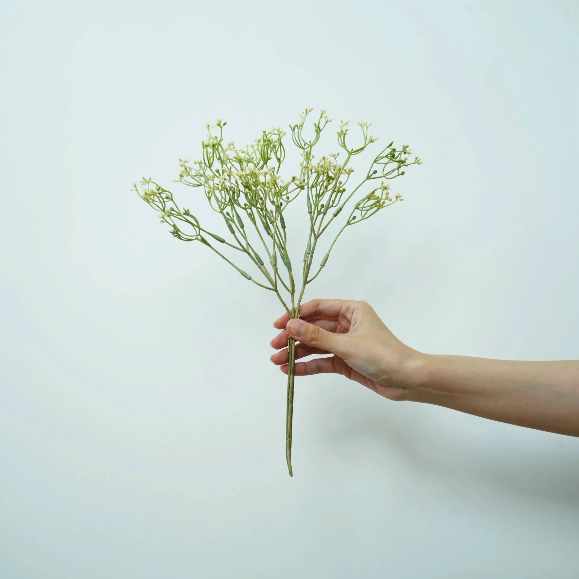 The application of dried flower wall decor