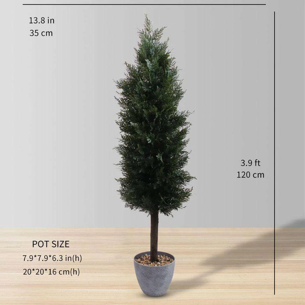 Nhà máy tựa Cedar Pomen (nhiều kích thước) (nhiều kích thước)