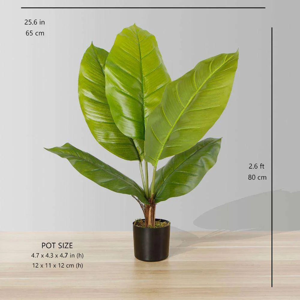 Cây chậu lá nhân tạo Spathiphyllum (nhiều kích cỡ)