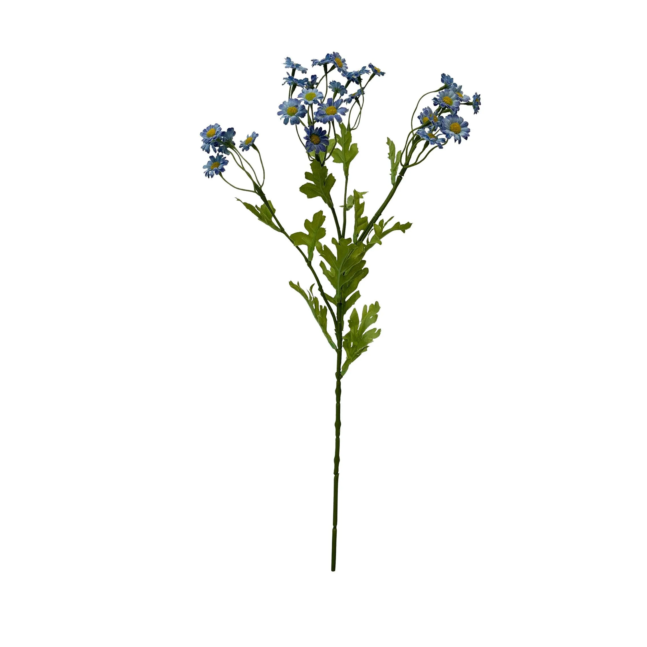 Một khẩu phần duy nhất củaChamomile