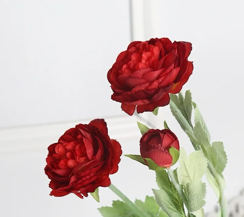 Hoa Velvet Lotus Flower‌