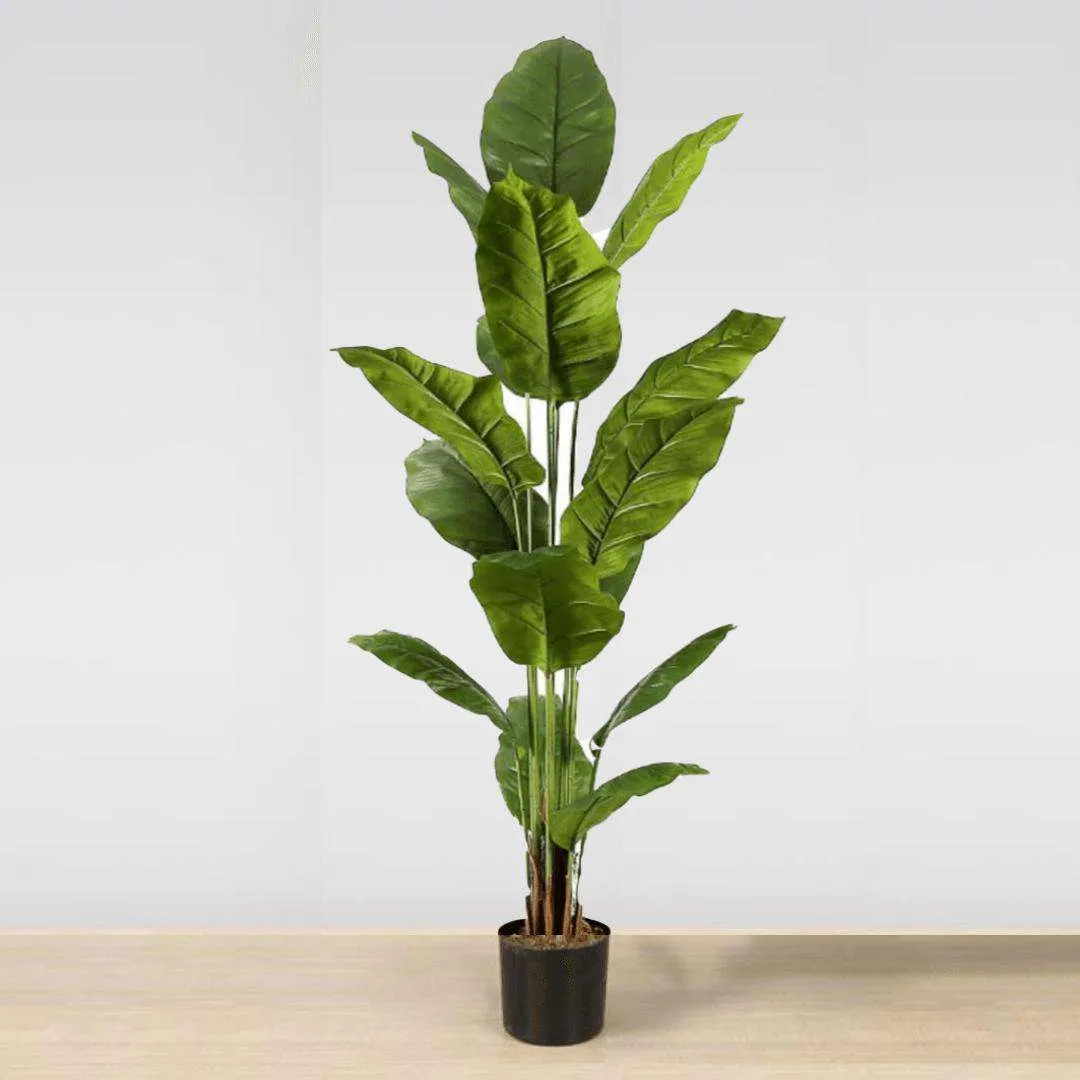 Cây chậu lá nhân tạo Spathiphyllum (nhiều kích cỡ)