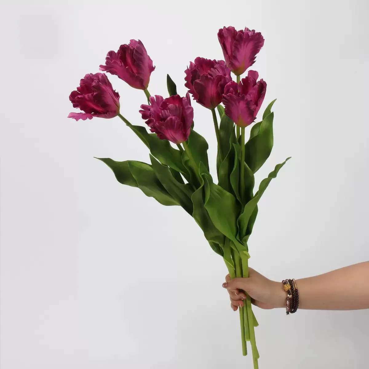 TULIP MONET