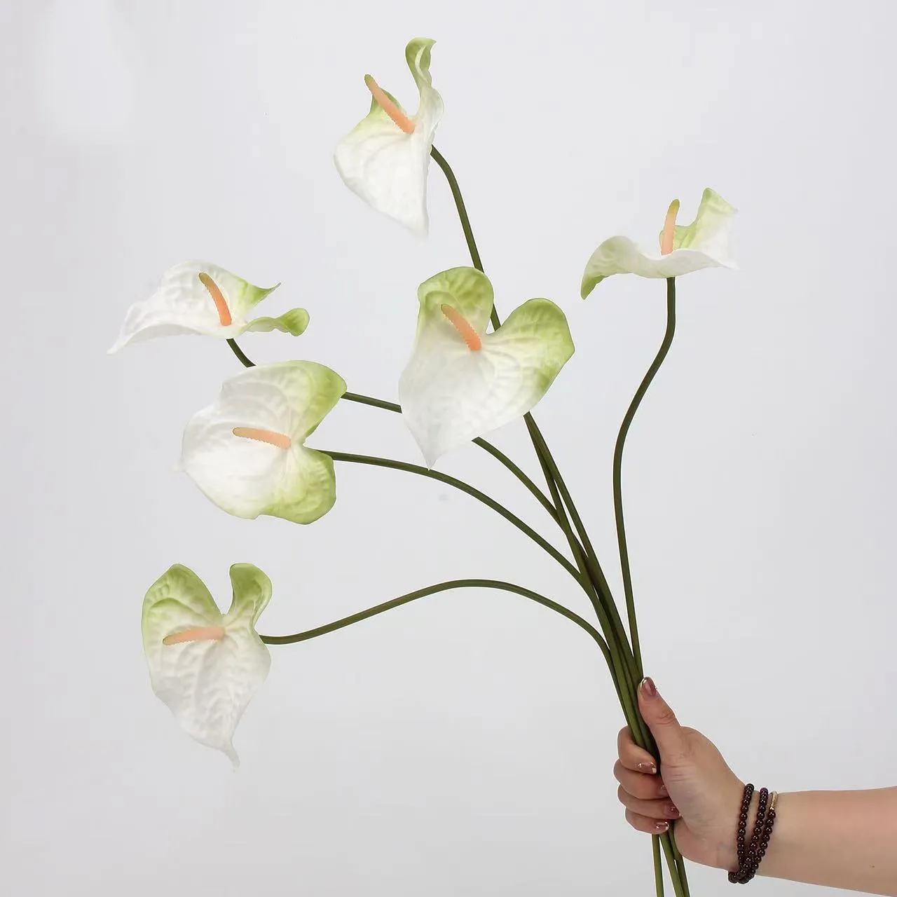 lòng cọ anthurium