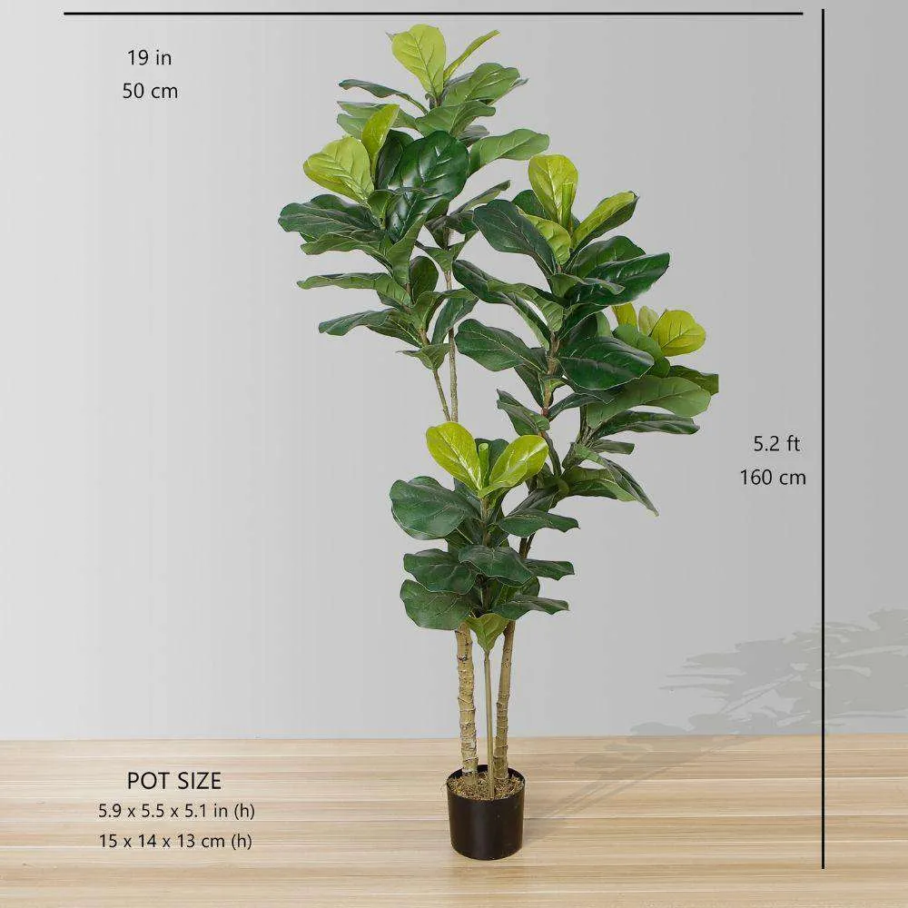 Cây chậu lá nhân tạo phong phú (nhiều kích thước）