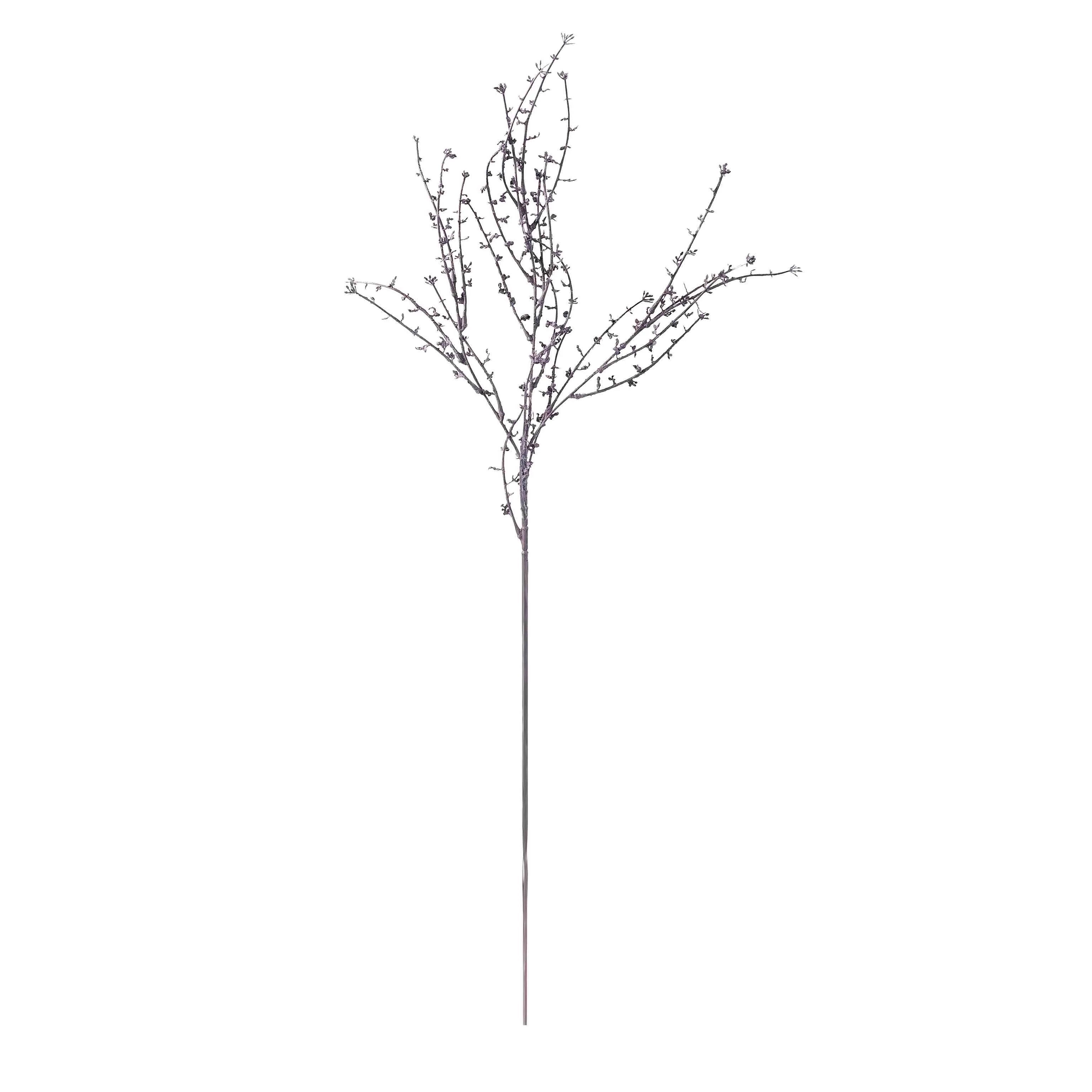 Một bộ râu rồng duy nhất