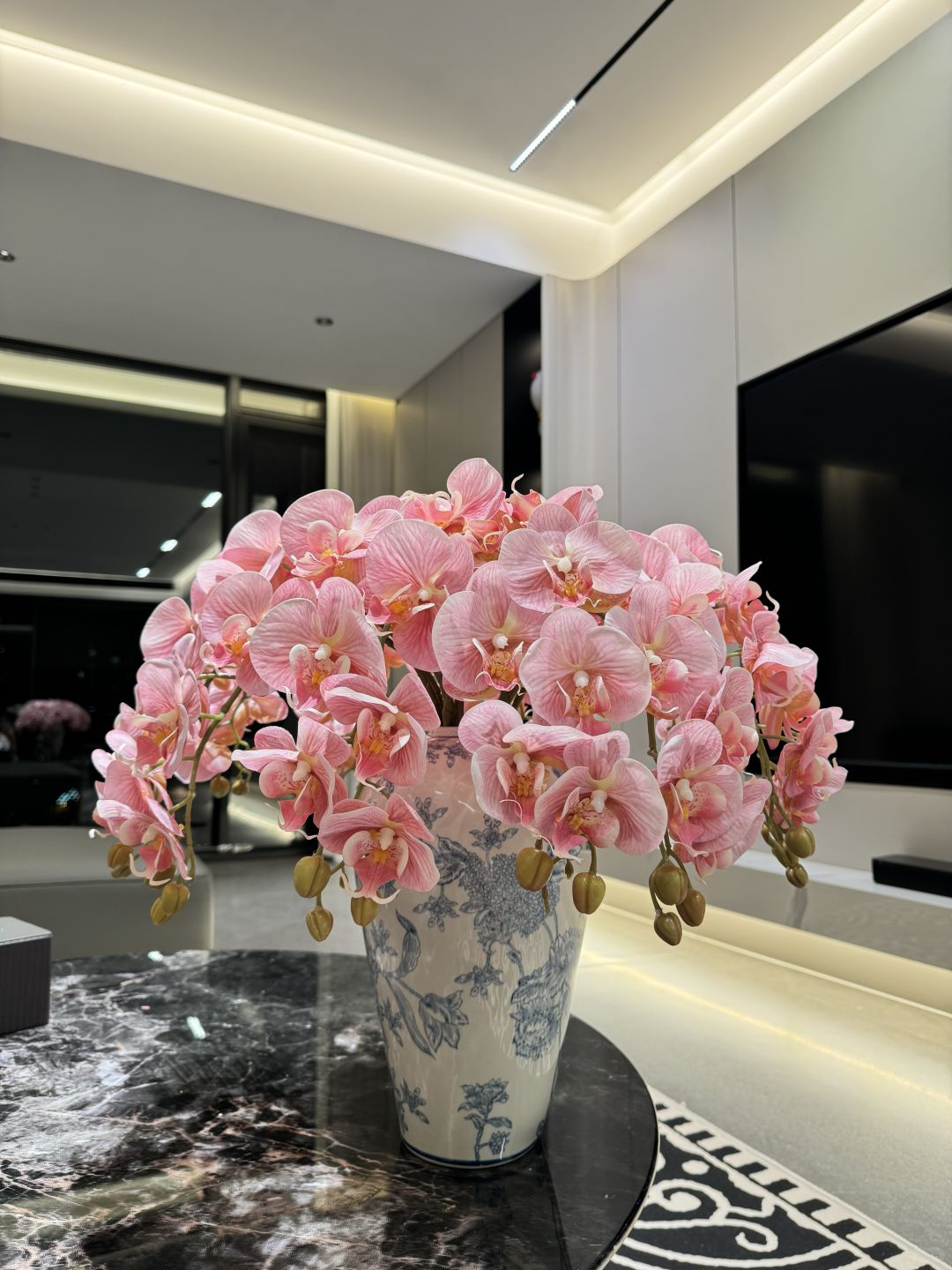 Phalaenopsis lan