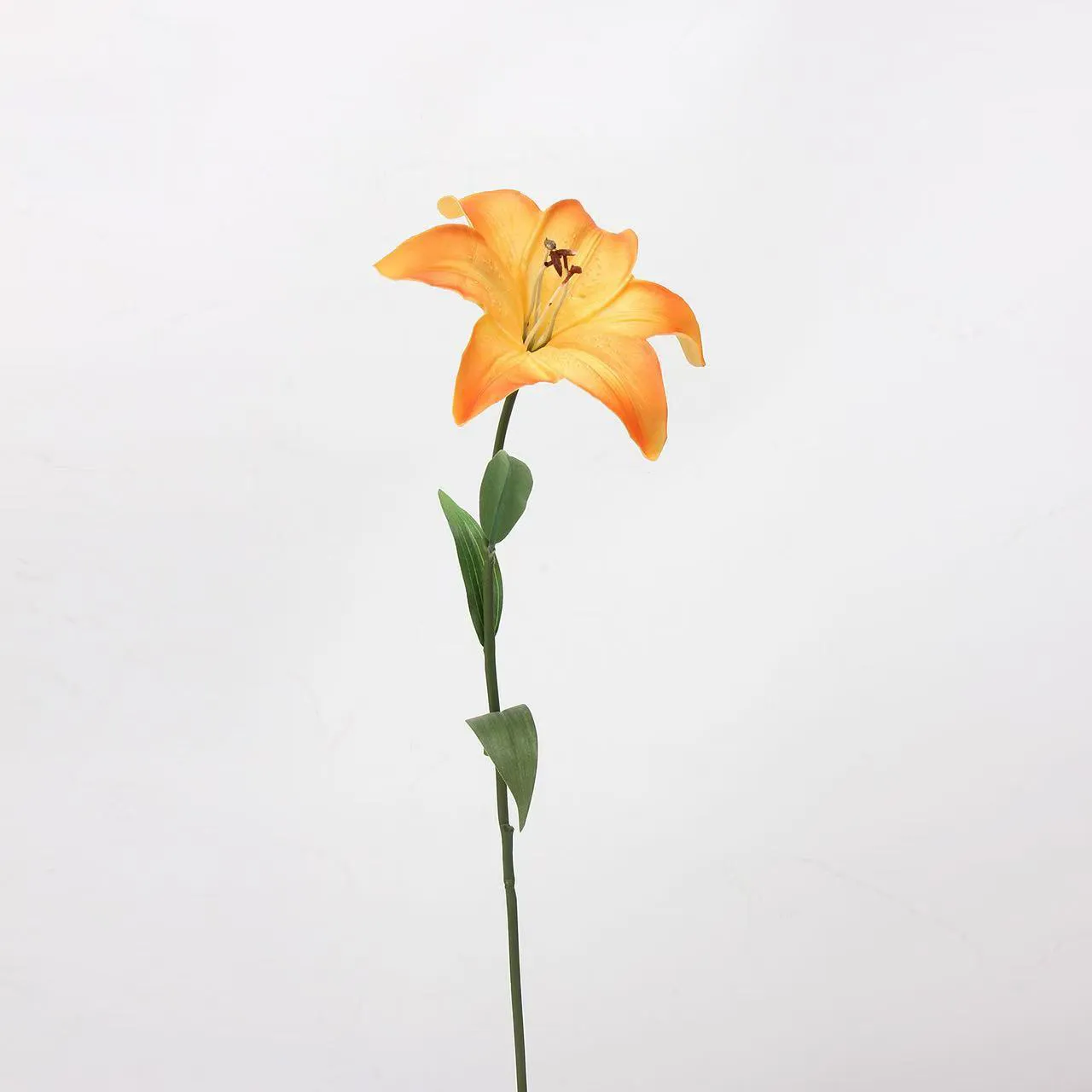 Người yêu Lily