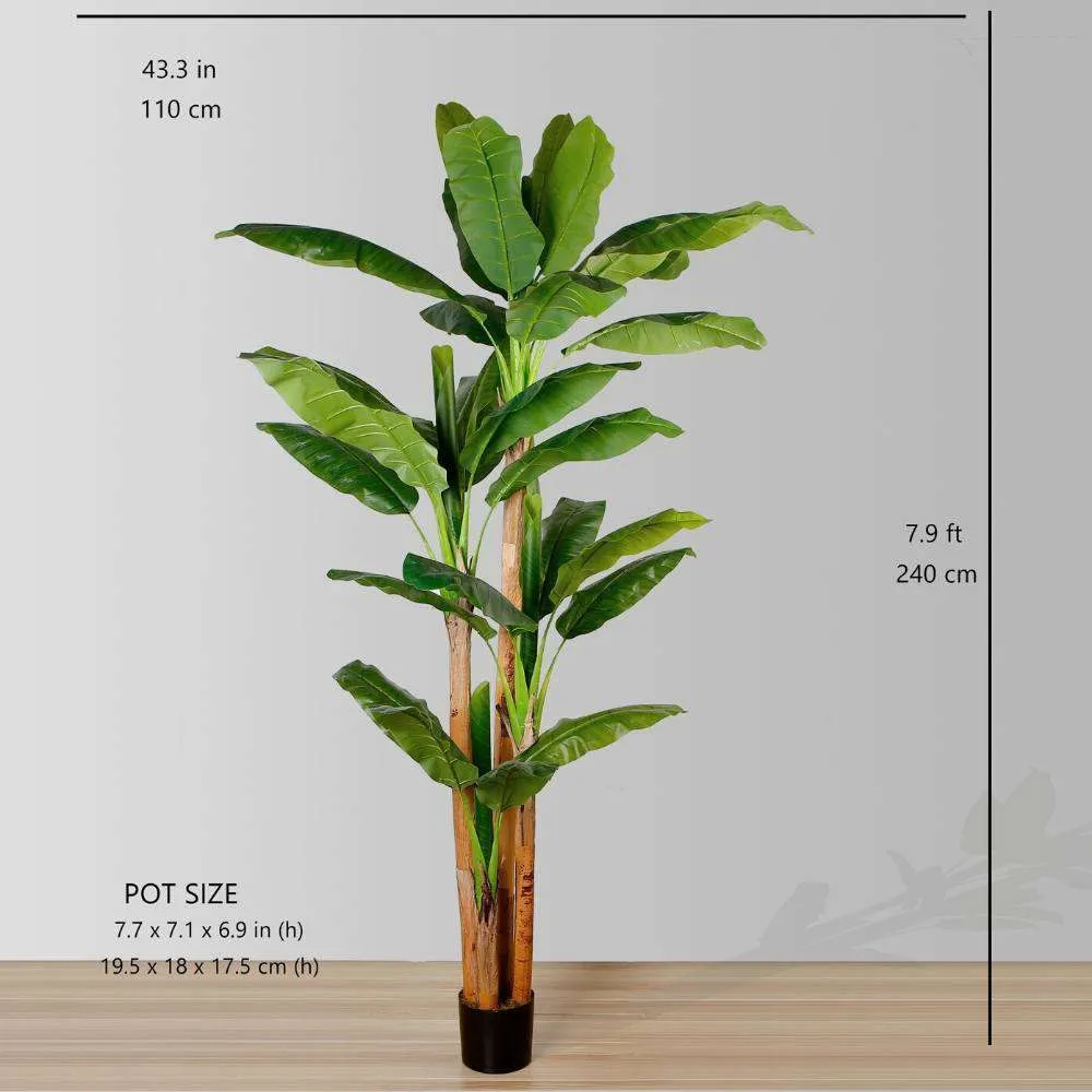 Anna cây chuối nhân tạo cây chuối
