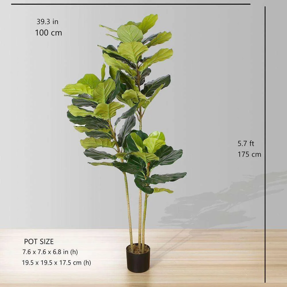 Lyrata nhân tạo cây lá cây (nhiều kích cỡ)