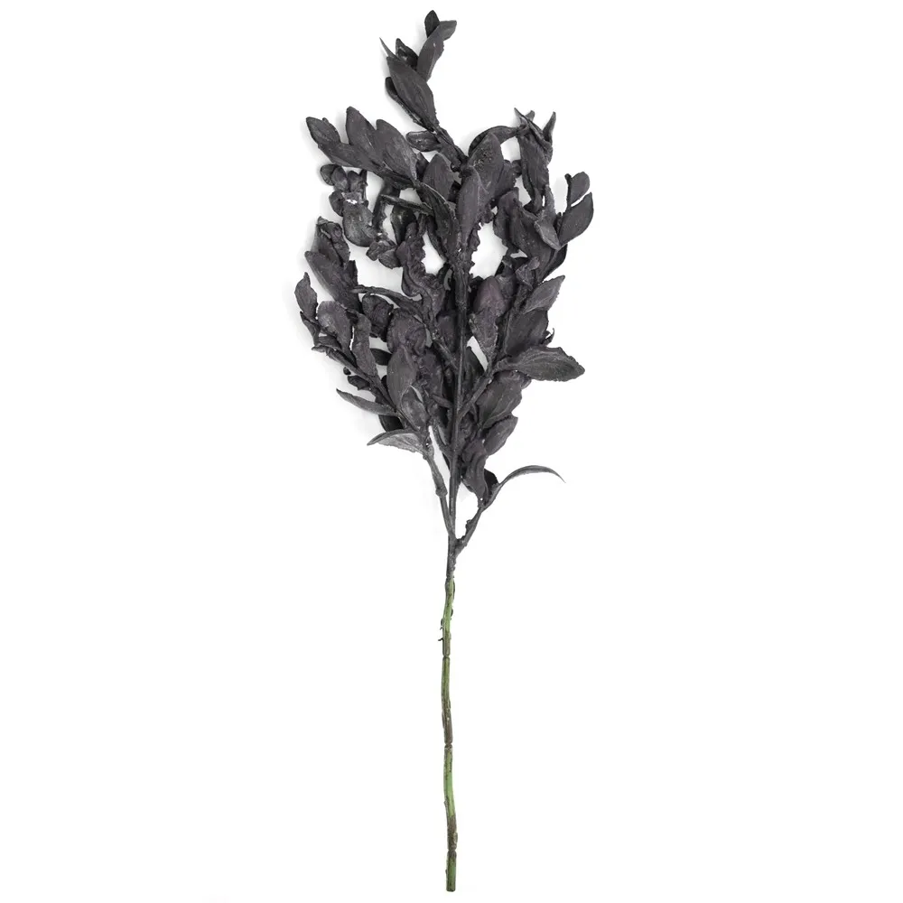 Lá Yuanbao nhánh ngắn