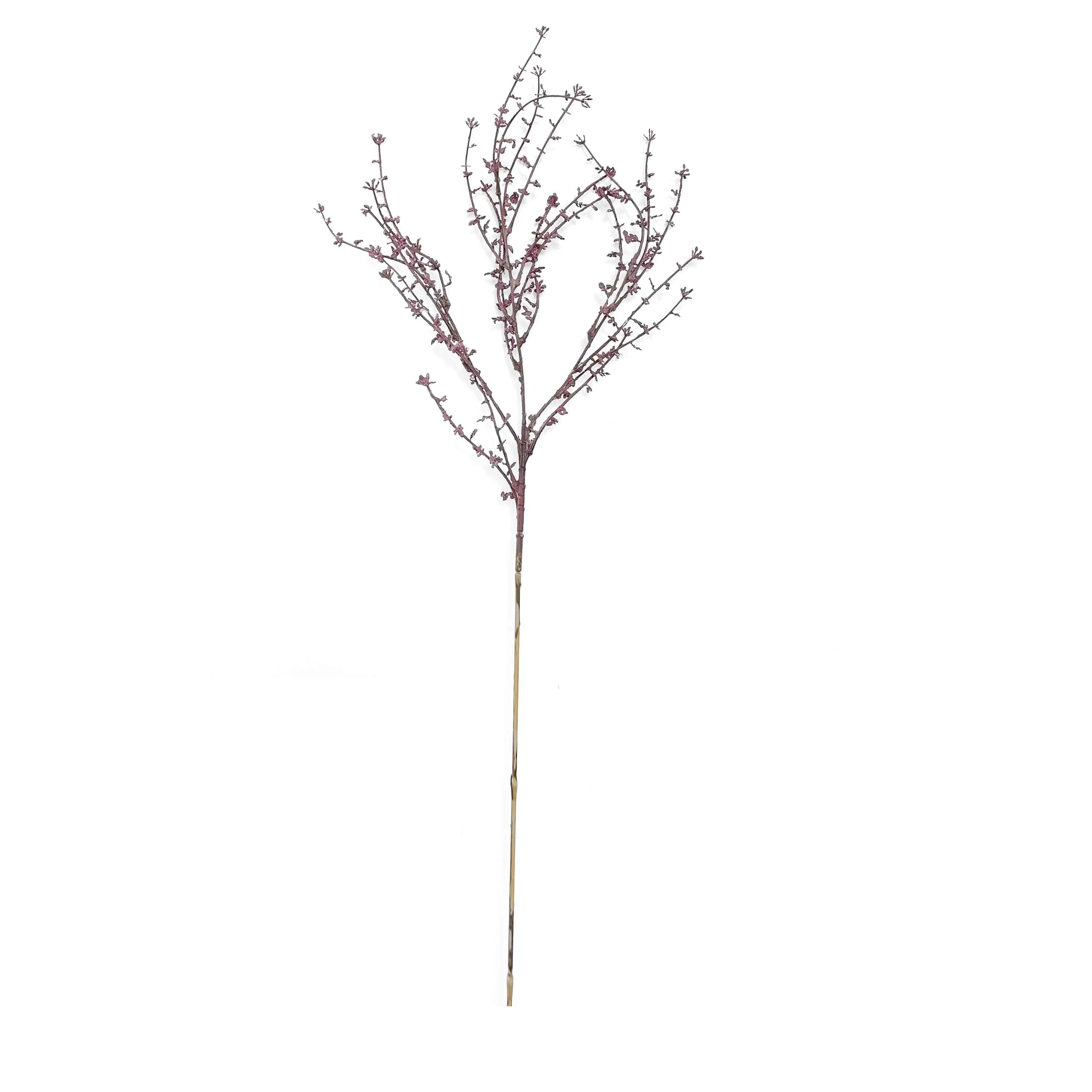Một bộ râu rồng duy nhất