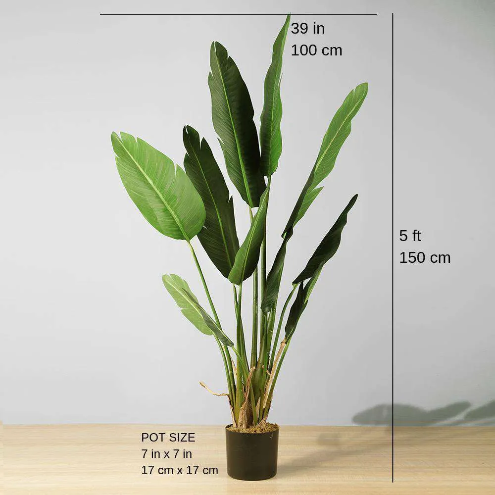 Chim nhân tạo của cây chậu cây thiên đường (nhiều kích cỡ)