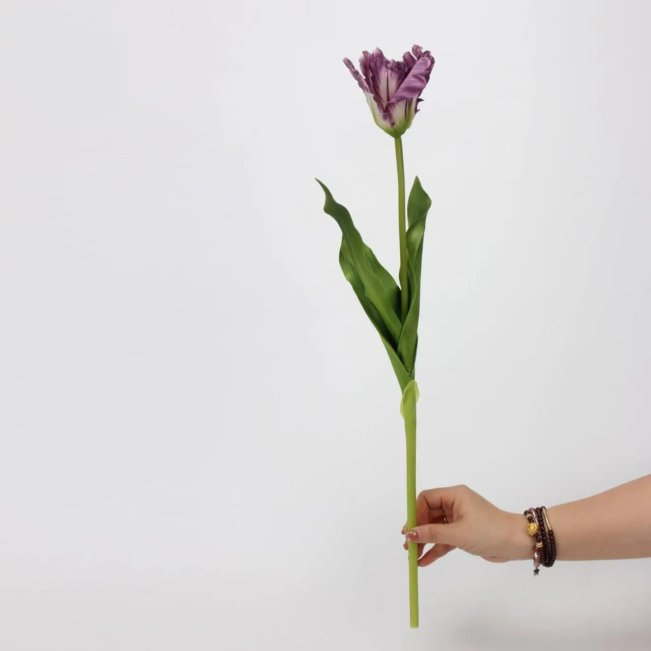 TULIP MONET