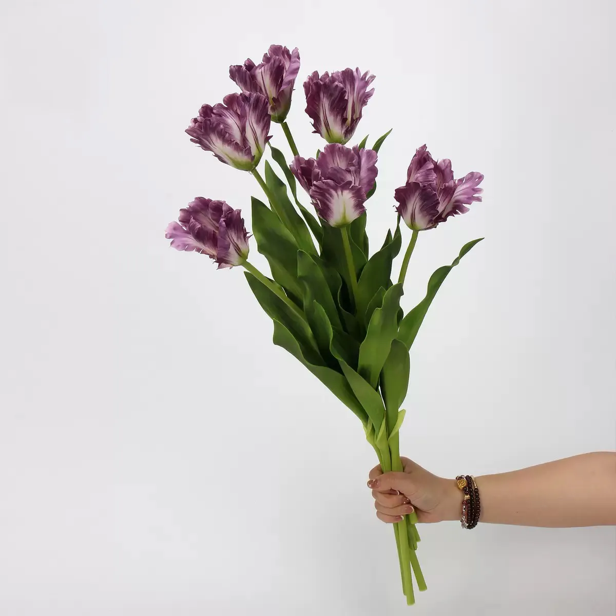 TULIP MONET