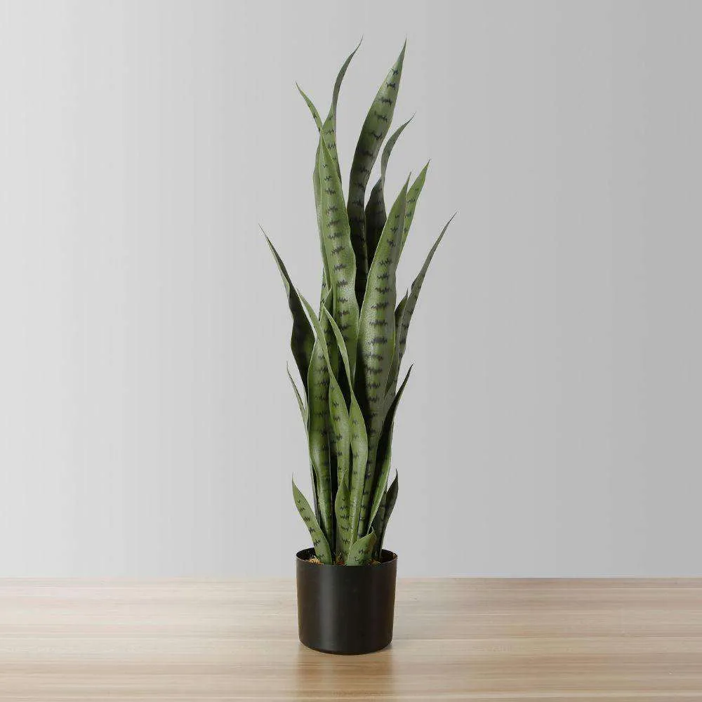 Cây xanh Snake Sansevieria nhân tạo