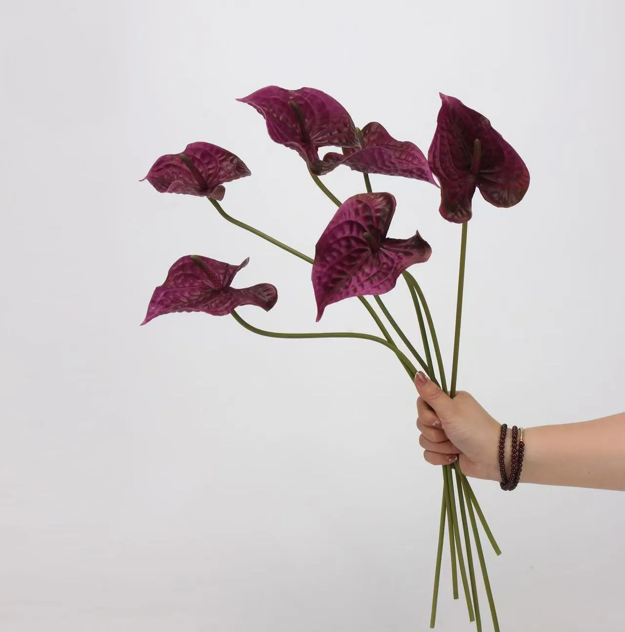 lòng cọ anthurium