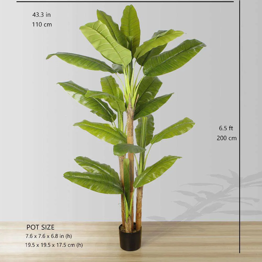 Anna cây chuối nhân tạo cây chuối
