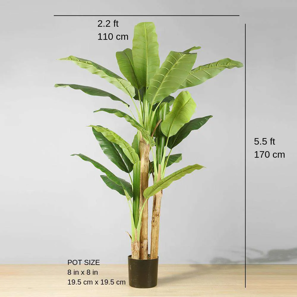 Anna cây chuối nhân tạo cây chuối