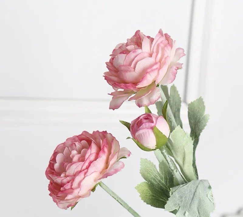 Hoa Velvet Lotus Flower‌