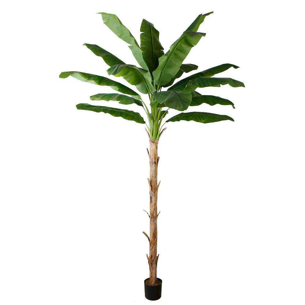 Màu cây chuối nhân tạo màu hổ phách
