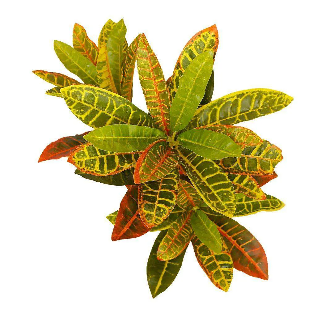 Cây croton nhân tạo trong chậu cây