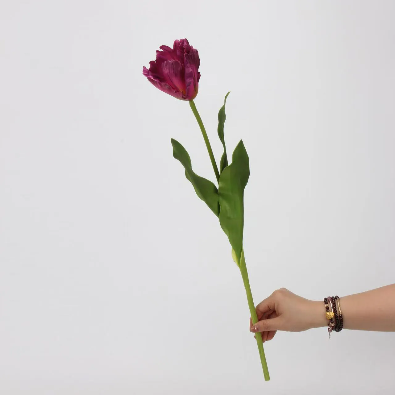 TULIP MONET