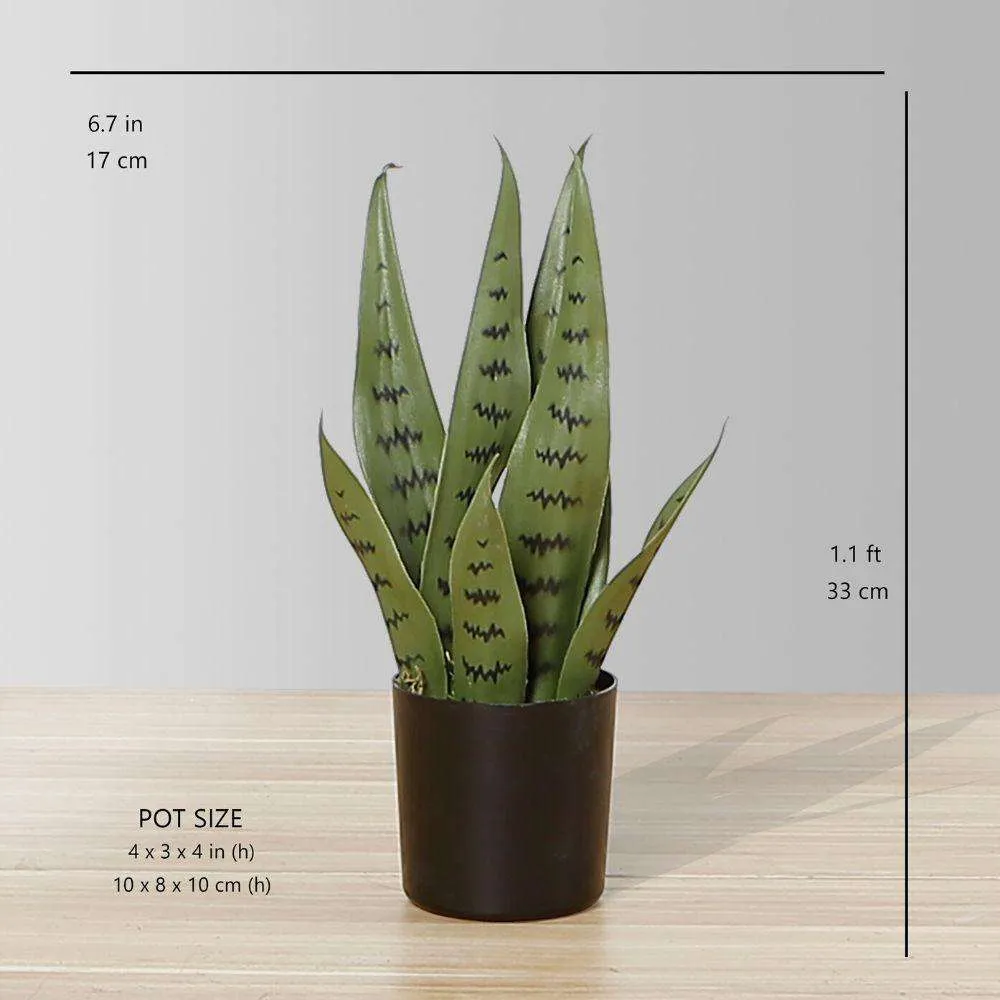 Cây xanh Snake Sansevieria nhân tạo