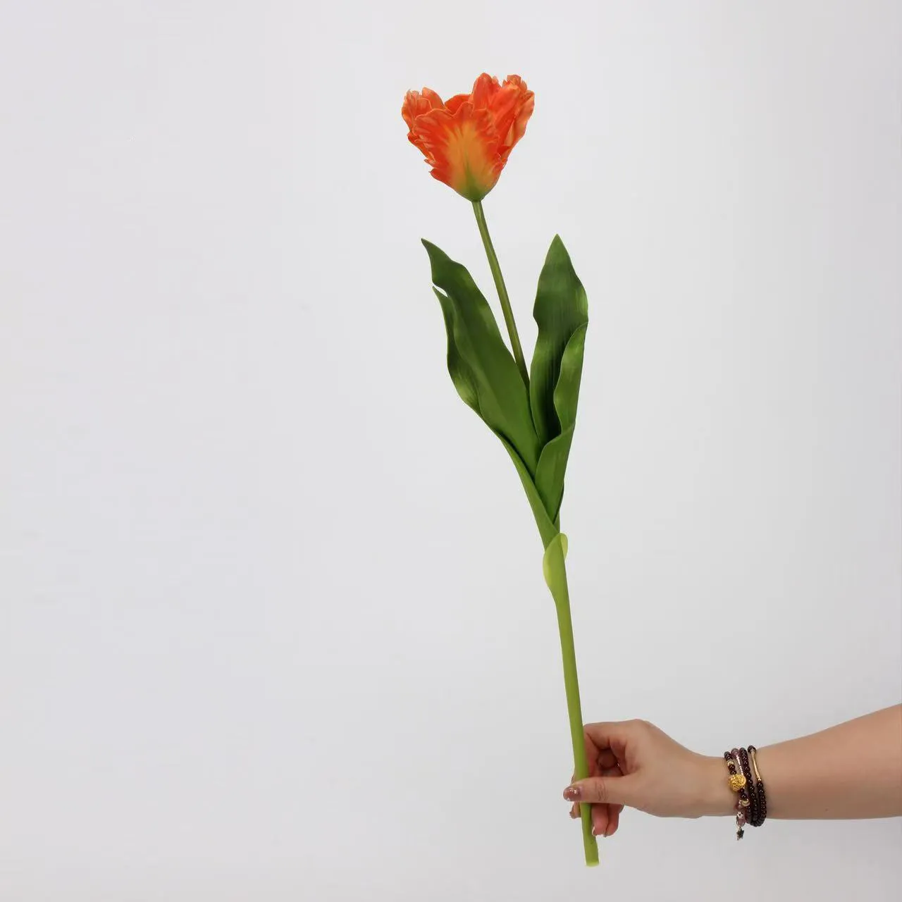 TULIP MONET