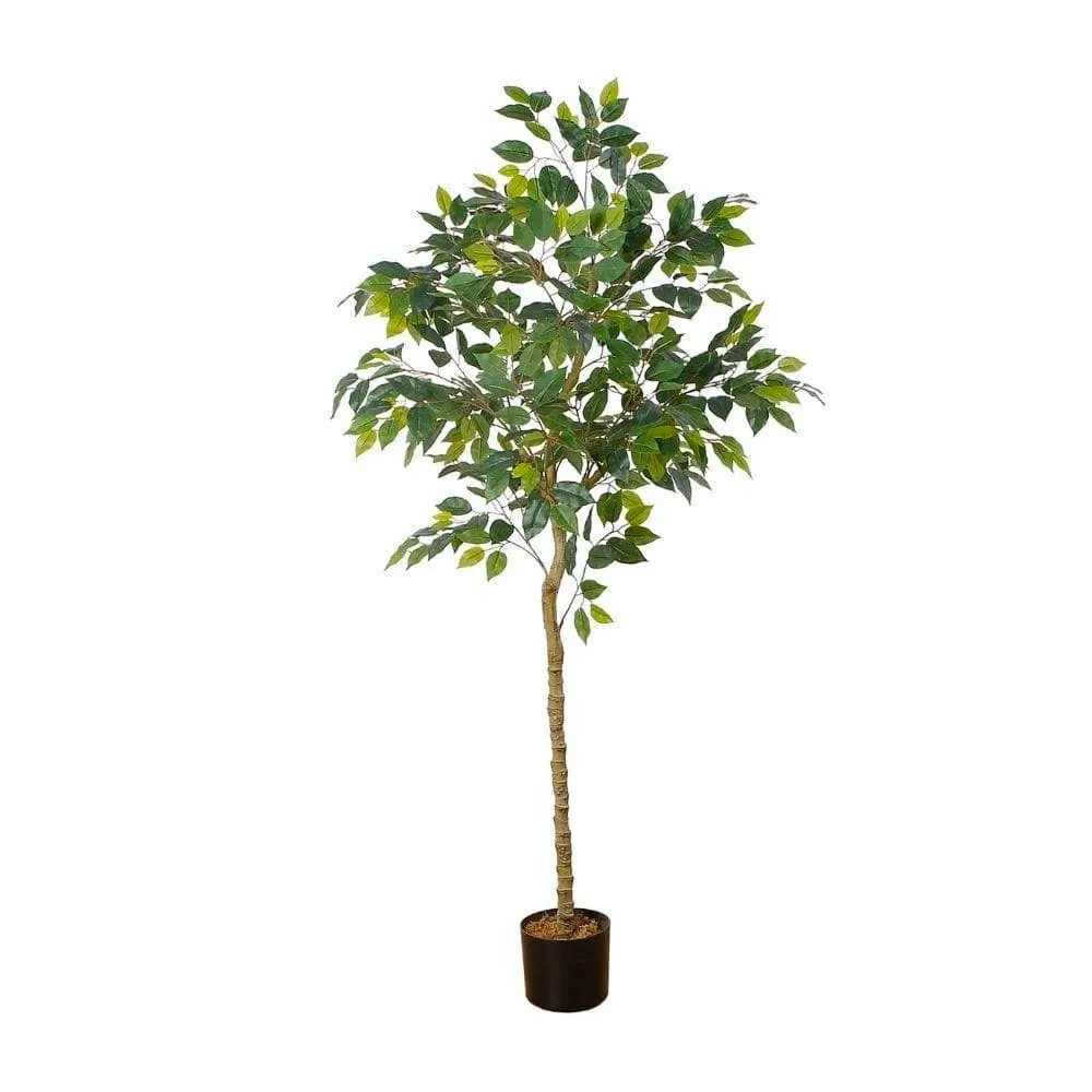 Cây trồng cây nhân tạo (nhiều kích cỡ)