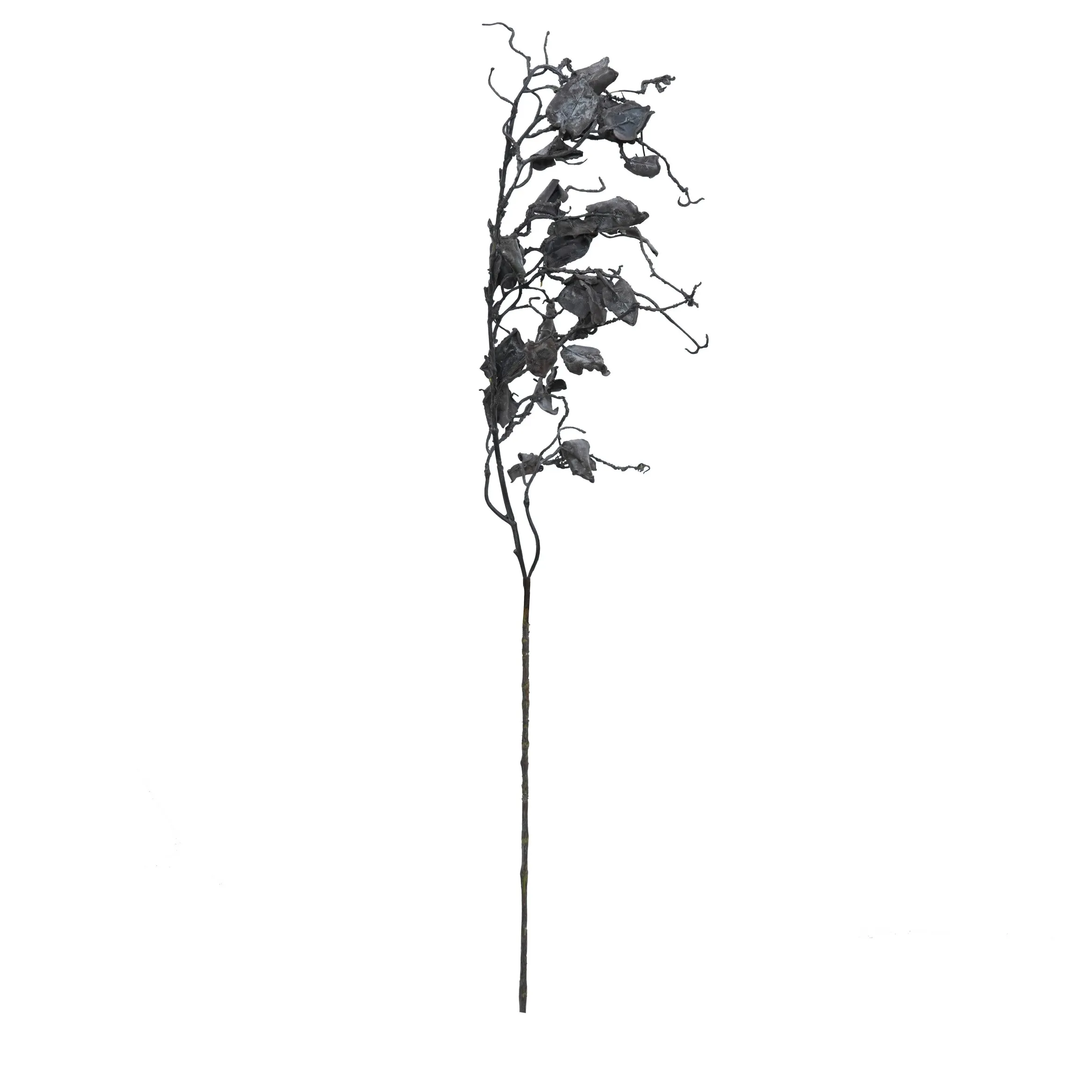 Một bộ râu rồng đơn 2