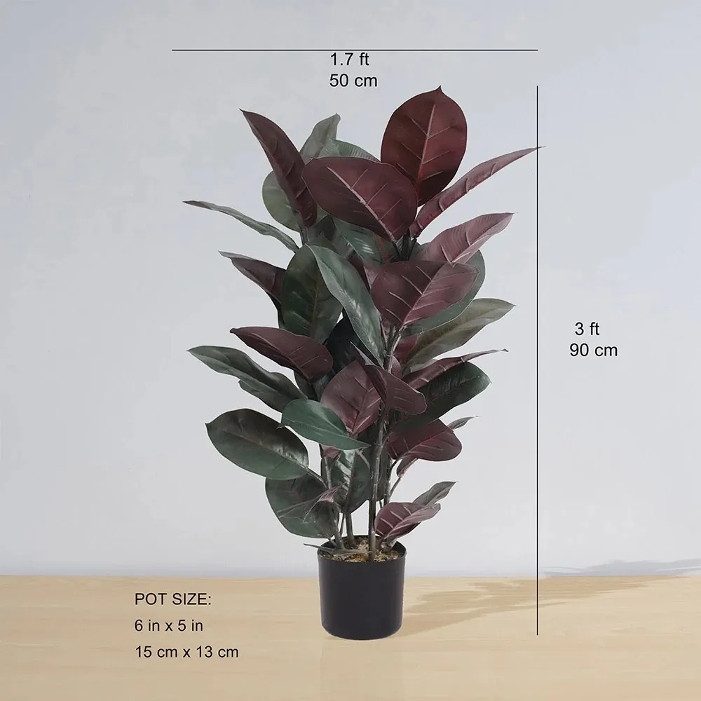 Cây chậu cao su nhân tạo