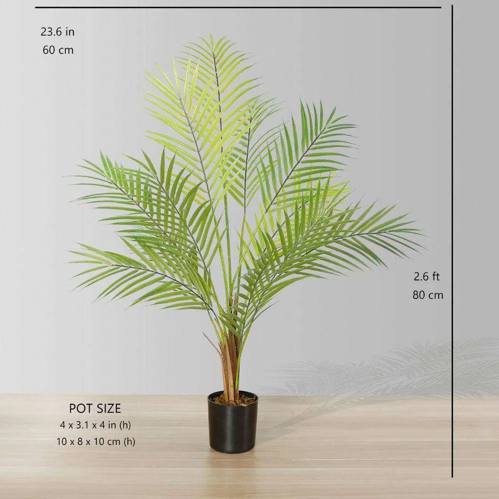 Cây cây cọ nhân tạo areca