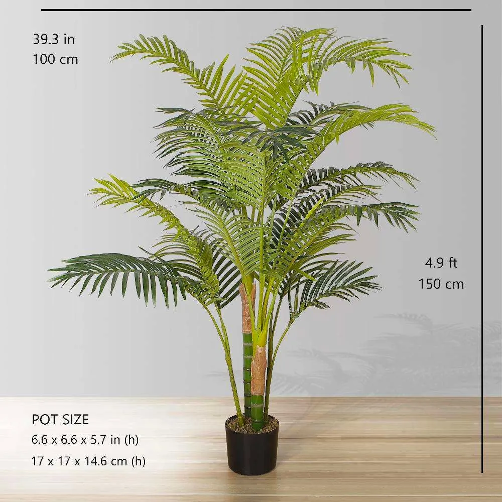 Cây cây cọ nhân tạo Hawaii