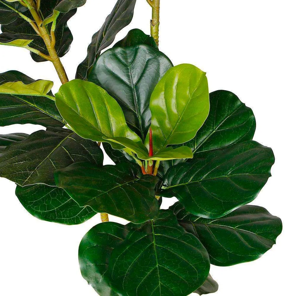 Lyrata nhân tạo cây lá cây (nhiều kích cỡ)
