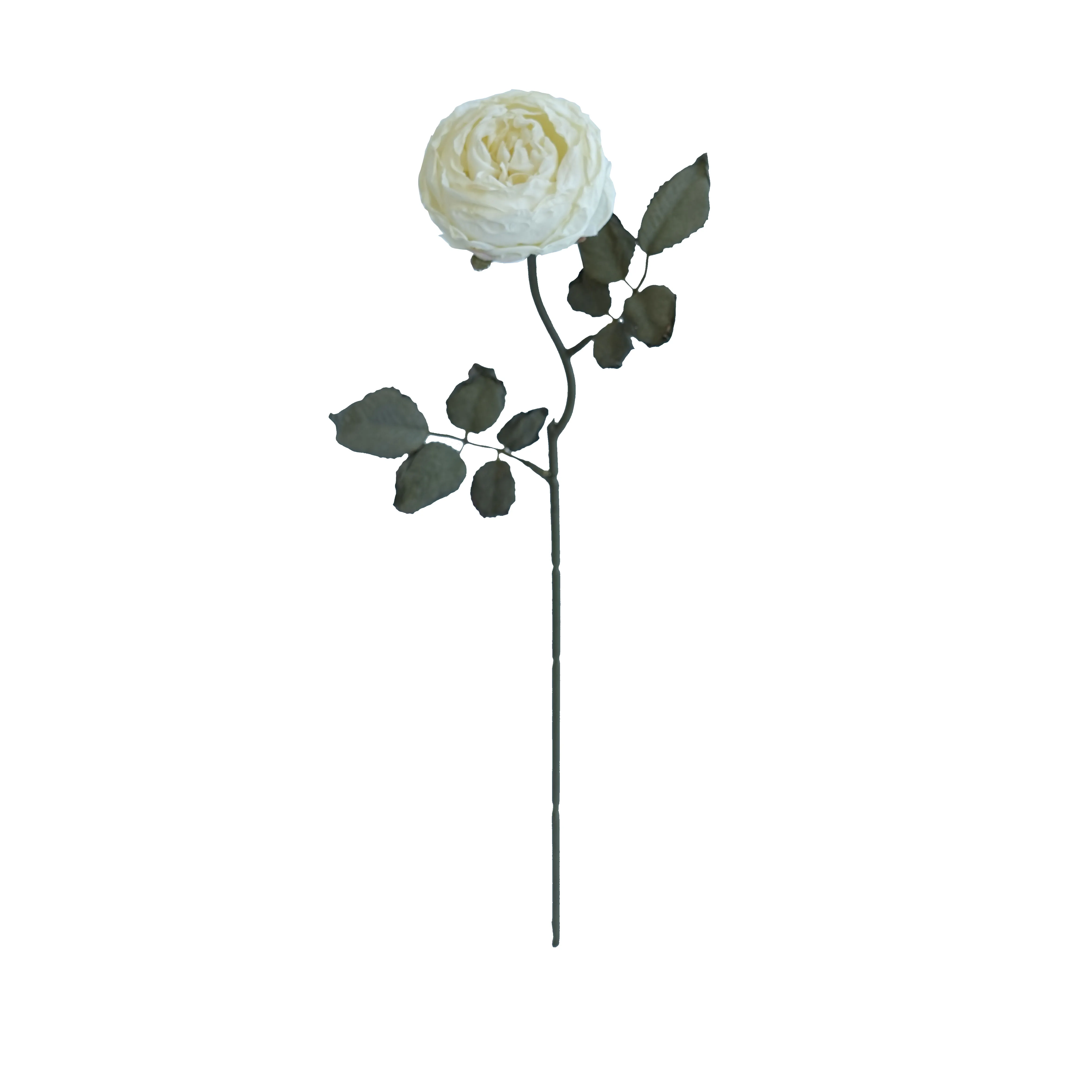The application of silk flower cleaner