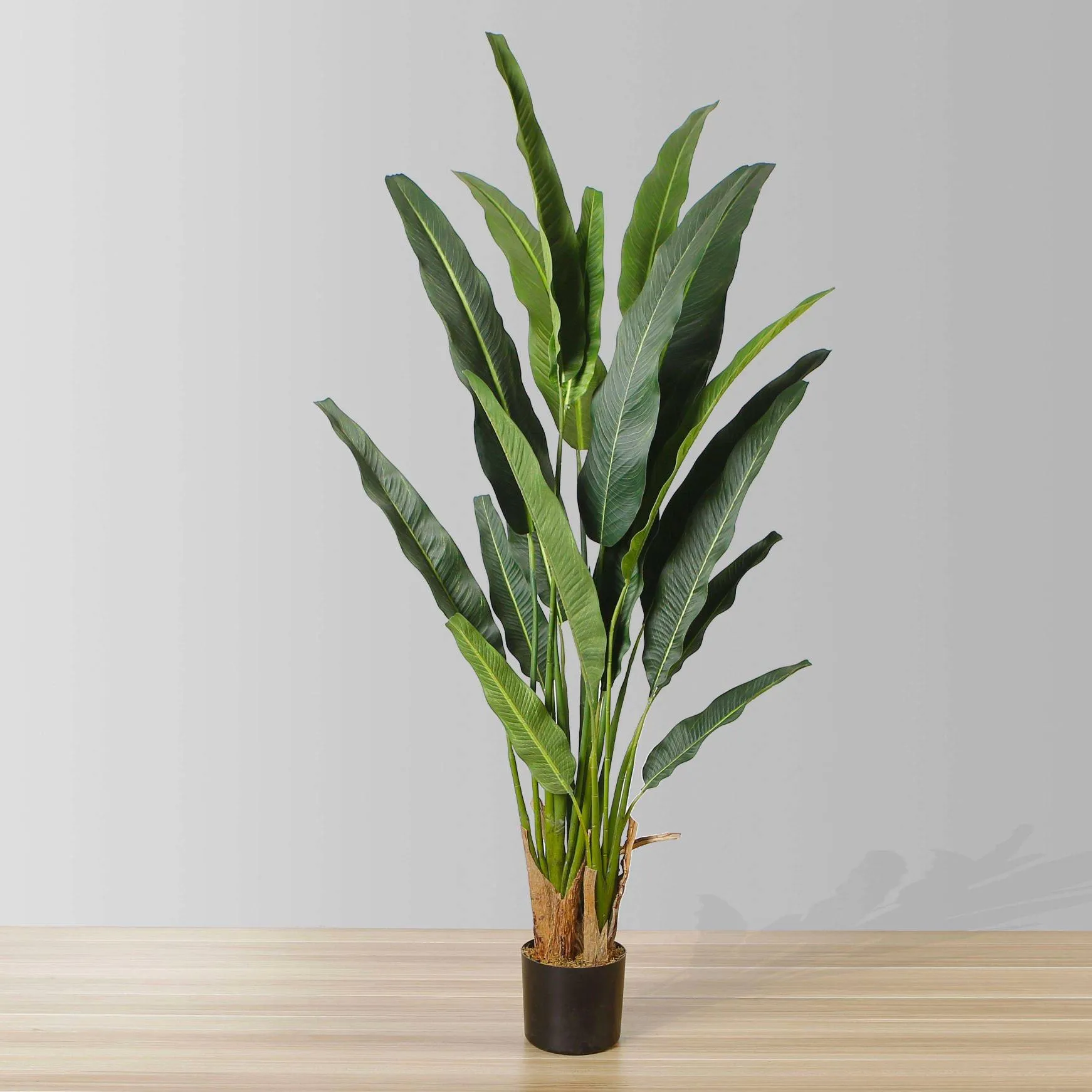 Khách du lịch nhân tạo cao cấp cây cọ cây cọ